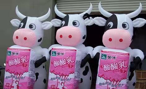 桥东牛奶厂广告气模